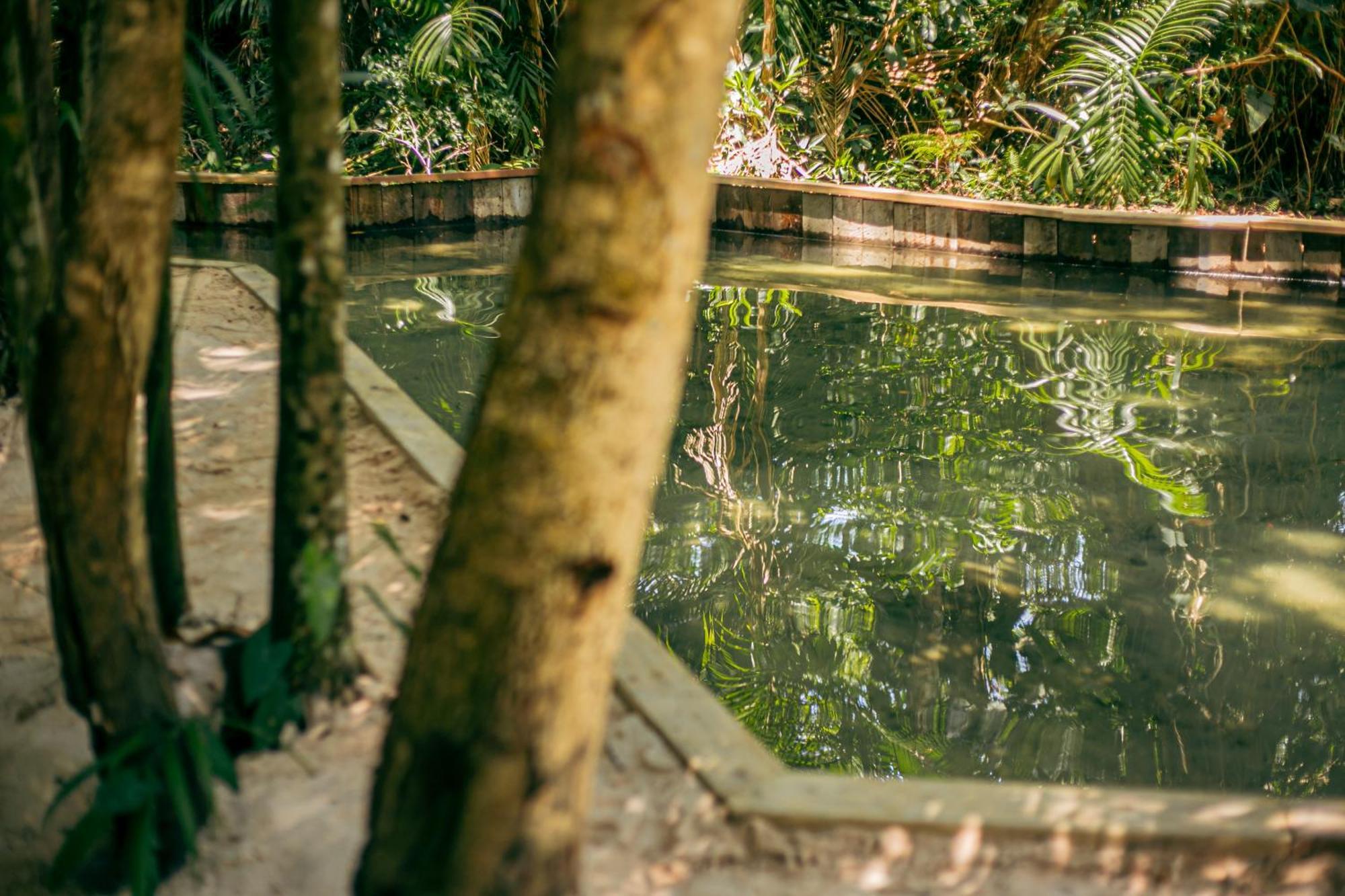 Pousada E Restaurante Amazonia Alter do Chão Eksteriør bilde